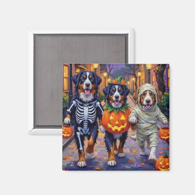 Imán Bernese Mountain Pidiendo Dulces en Halloween  (Anverso/Reverso)