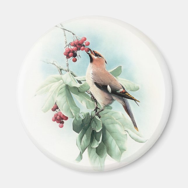 Imán Berries A Comer (Frente)