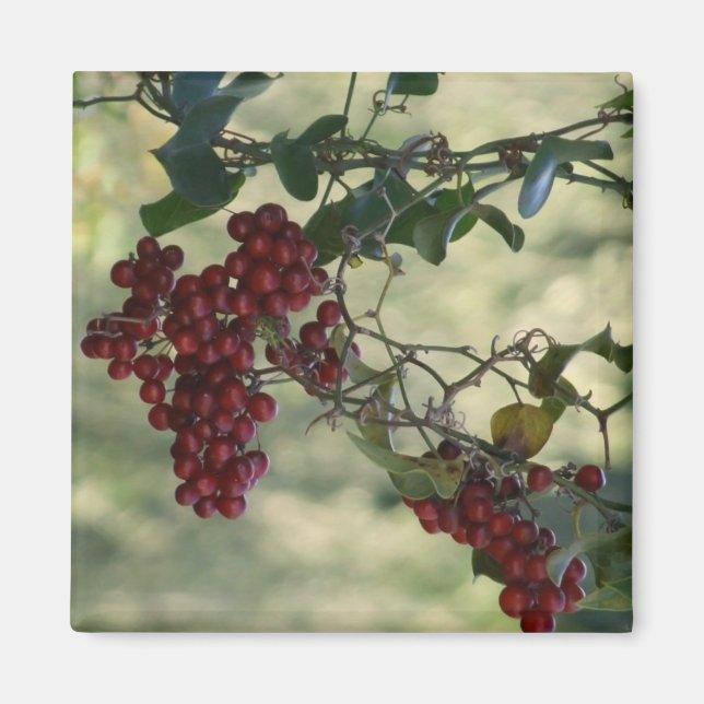 Imán Berry Magnet (Frente)