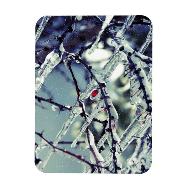 Imán Berry Premium Congelado (Vertical)