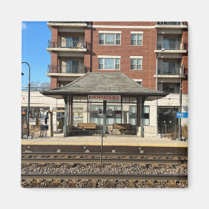 Imán Berwyn Illinois