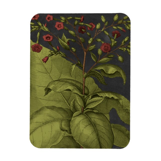 Imán Besler Dramatique I (Vertical)