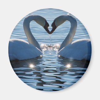 Imán Beso de corazón de cisne, reflexiones de amor