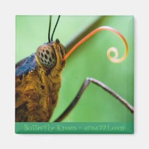 Imán Besos de la mariposa