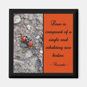 Imán Besos de la mariquita