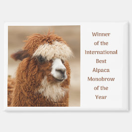 Imán Best Alpaca Monobrow