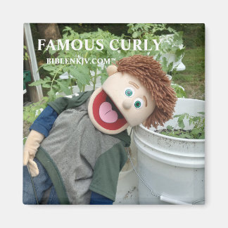 IMÁN BIBLENKJV.COM™ 🛐 #MAGNET