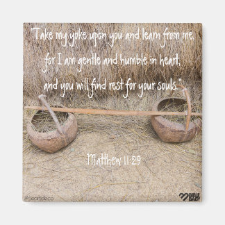 Imán Biblia Verse Magnet - Matthew