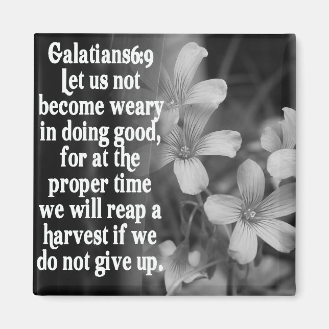 IMÁN BIBLIOTECAS GALATIANOS 6:9 (Frente)