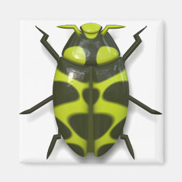 Imán Bicho de insectos lindo