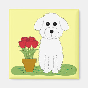 Imán Bichon Frise