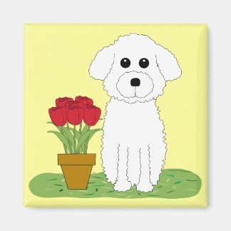 Imán Bichon Frise