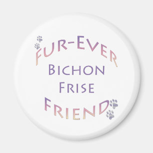 Imán Bichon Frise Furever