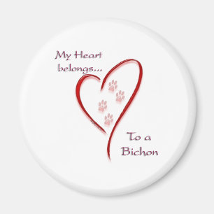 Imán Bichon Frise Heart Pertenece