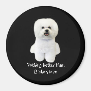 Imán Bichon Frise Magnet