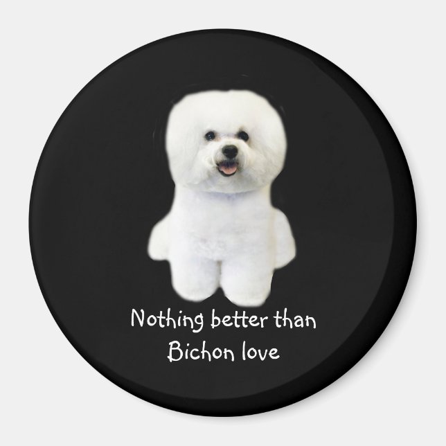 Imán Bichon Frise Magnet (Frente)