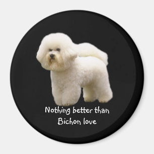 Imán Bichon Frise Magnet