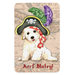 Imán Bichon Frise Pirate