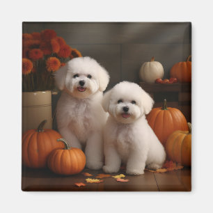 Imán Bichon Frise Puppy Calabaza deslumbrante de otoño