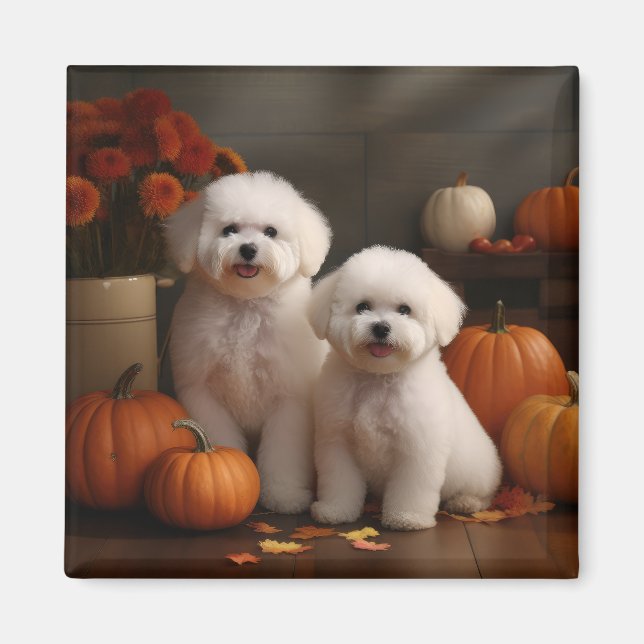 Imán Bichon Frise Puppy Calabaza deslumbrante de otoño (Frente)