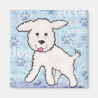 Imán Bichon Frise Puppy Dog Magnet