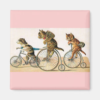 Imán Bicicleta