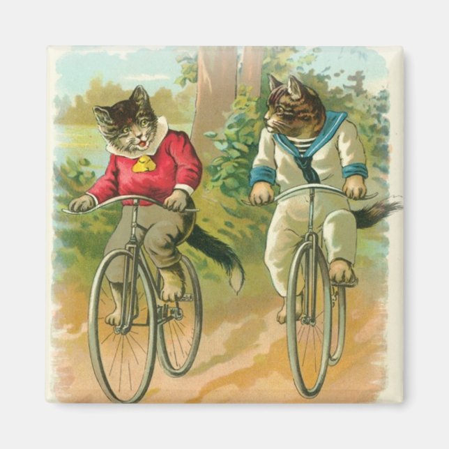 Imán Bicicletas para gatos (Frente)