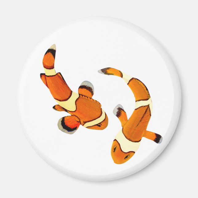 Imán Bickering Clowfish (Frente)