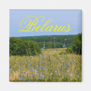 Imán Bielorrusia Entorno Rural Naturaleza Rústica