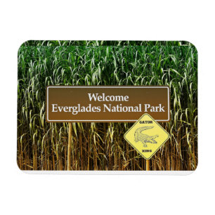 Imán Bienvenidos Parque Nacional Everglades, Crossing G