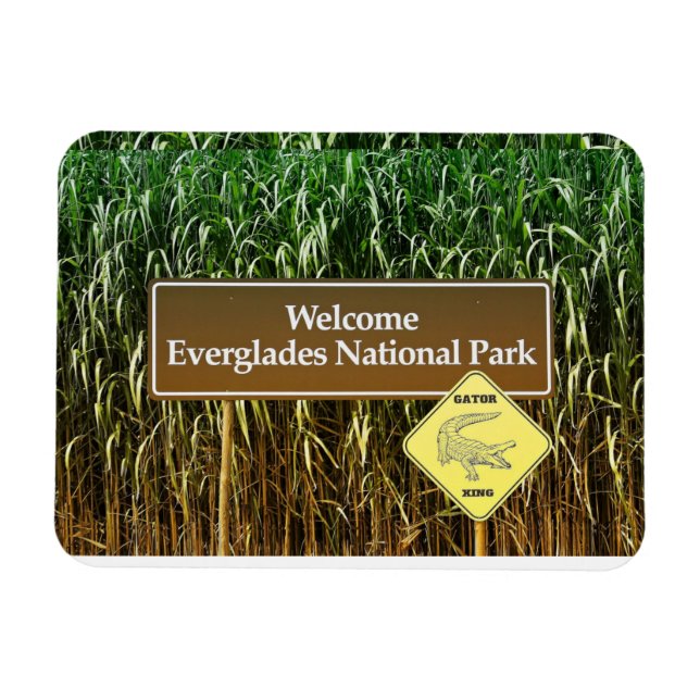 Imán Bienvenidos Parque Nacional Everglades, Crossing G (Horizontal)