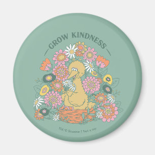 Imán Big Bird   Gráfico Floral de Crecimiento de Amabil