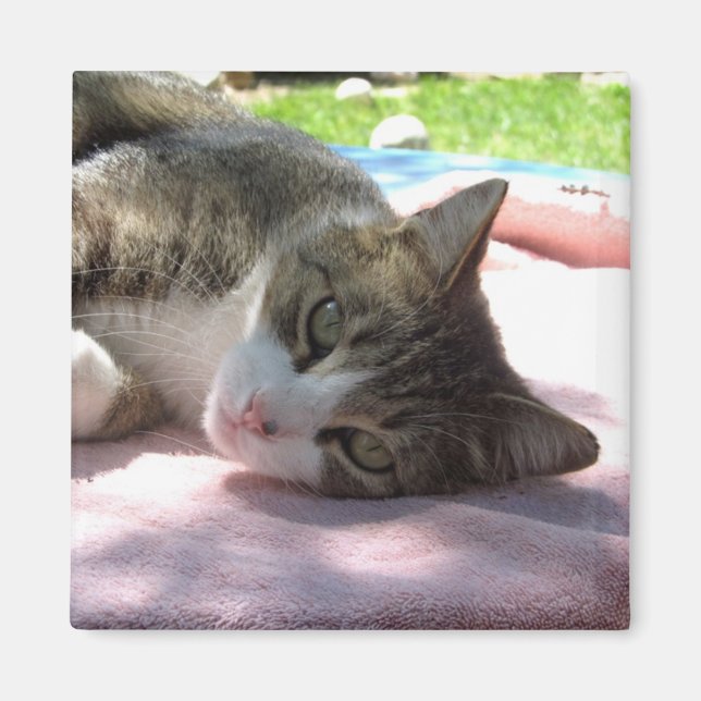 Imán Big Boy En El Magnet De Mesa (Frente)