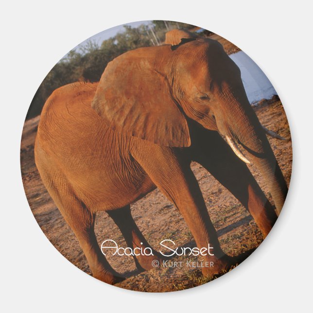 Imán Big Red (Frente)