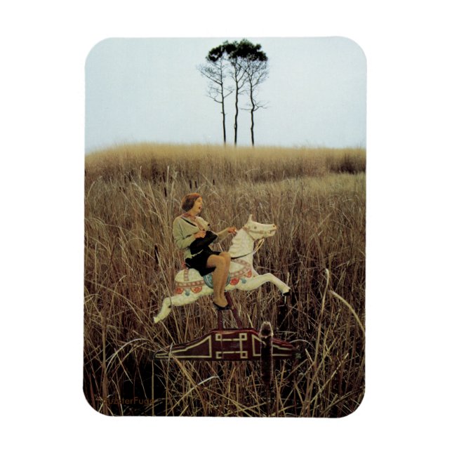 Imán Billete para montar - (Vertical)