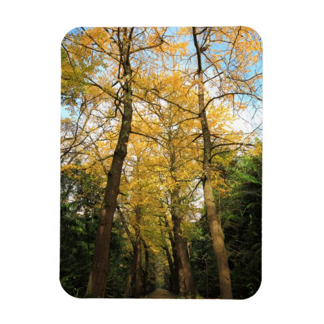 Imán Bilobos de Ginkgo (Vertical)