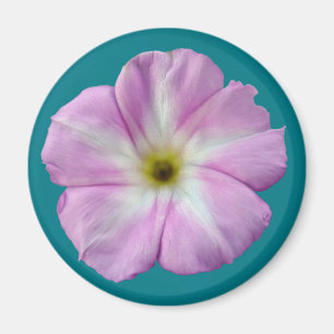 Imán Bindweed #1