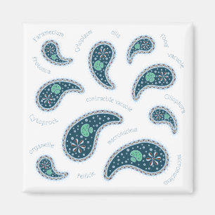Imán Biología de la ciencia de la paramecia paisley mic