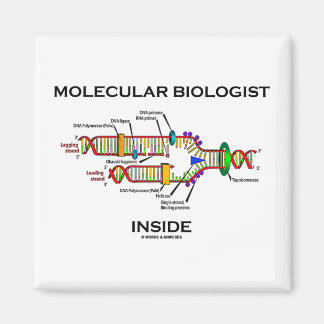 Imán Biólogo molecular interno (replicación del ADN)