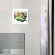 Biome Seasons Magnet