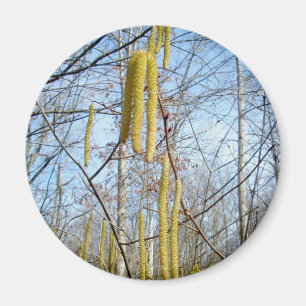 Imán Birch Catkins Magnet