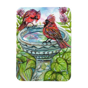Imán Bird Bath