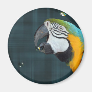 Imán Bird inteligente