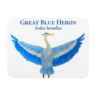 Imán Bird Watercolor Scientific Great Blue Heron