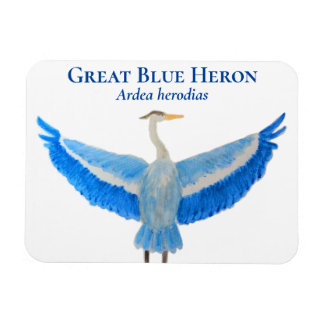 Imán Bird Watercolor Scientific Great Blue Heron