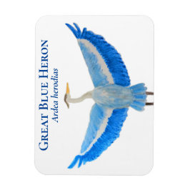 Imán Bird Watercolor Scientific Great Blue Heron