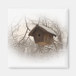 Imán Birdhouse del invierno