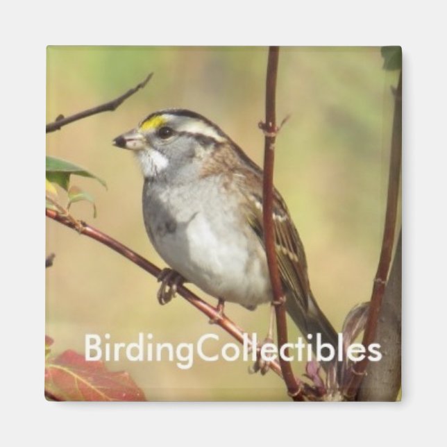 Imán BirdingCollectibles Magnet (Frente)