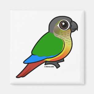Imán Birdorable Amarillo-echó a un lado Conure