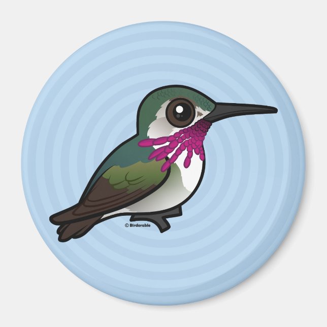Imán Birdorable Calliope Hummingbird (Frente)